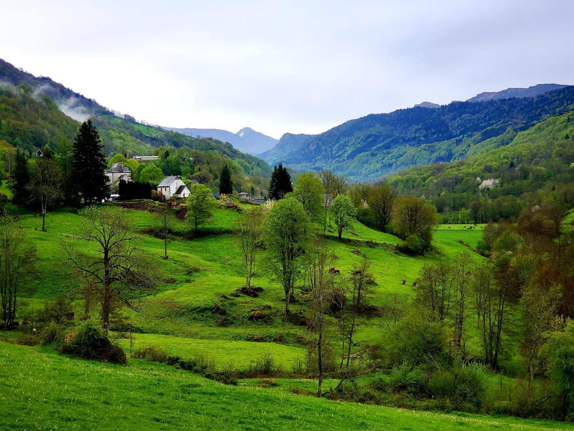 Le Petit Mars Holiday home Le Vaulmier